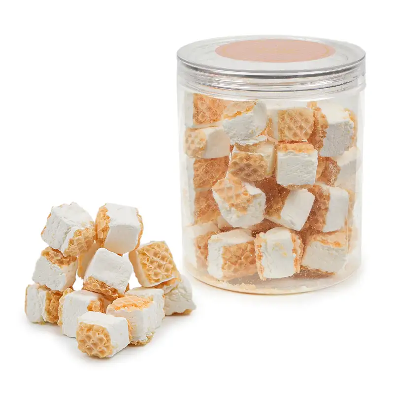 Lyophilized crispy wafers